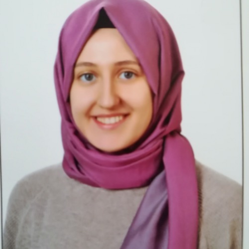 özel ders öğretmeni