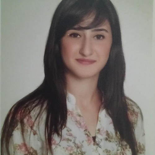 özel ders öğretmeni