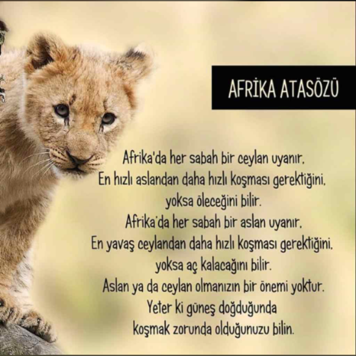 özel ders öğretmeni