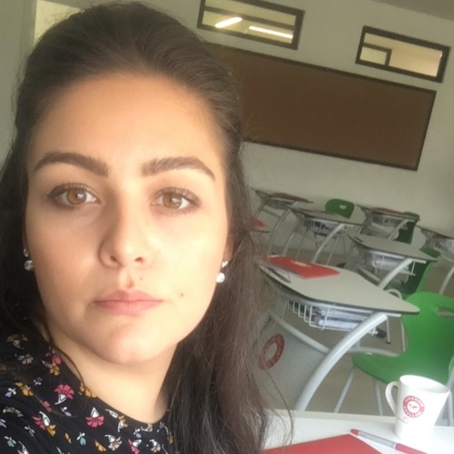 özel ders öğretmeni