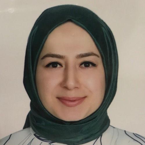 özel ders öğretmeni