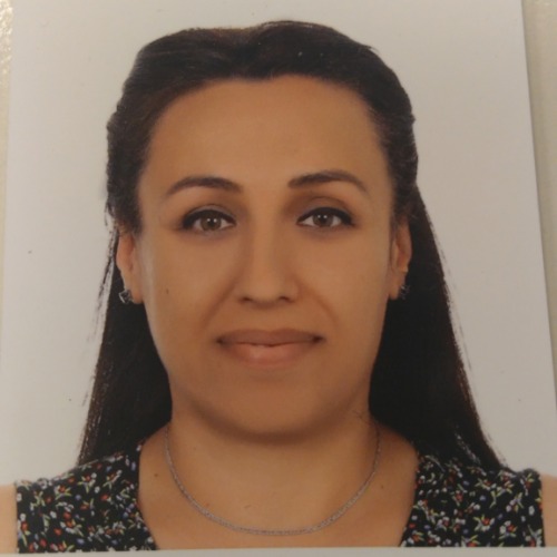 özel ders öğretmeni