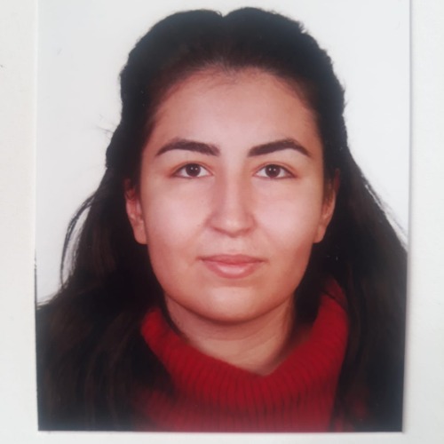 özel ders öğretmeni