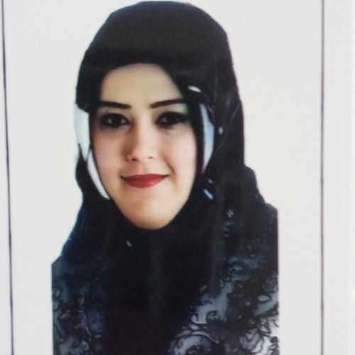 özel ders öğretmeni