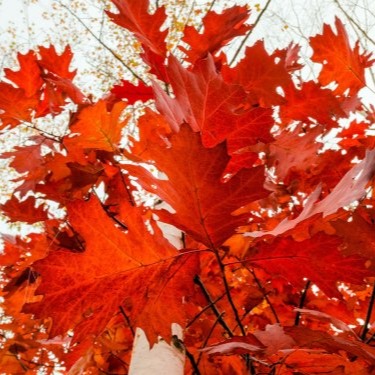 özel ders öğretmeni