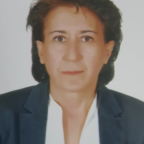 özel ders öğretmeni