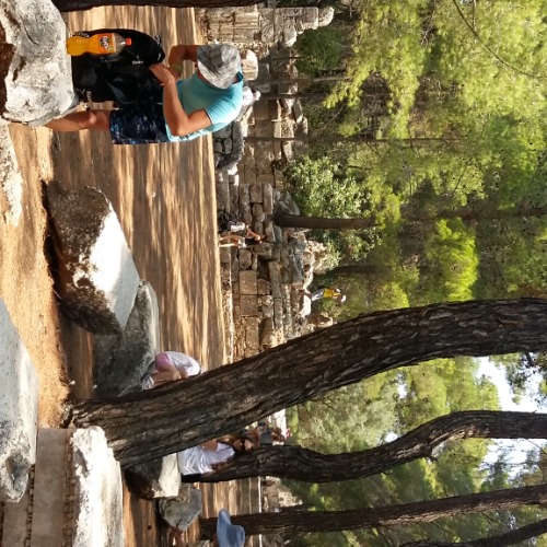 özel ders öğretmeni