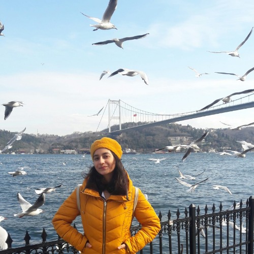 özel ders öğretmeni
