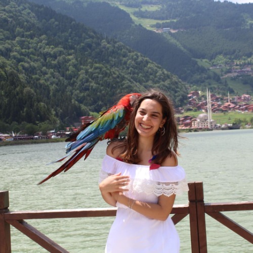 özel ders öğretmeni