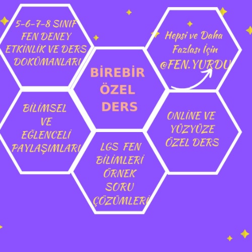 özel ders öğretmeni