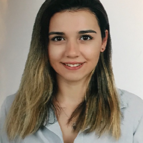 özel ders öğretmeni