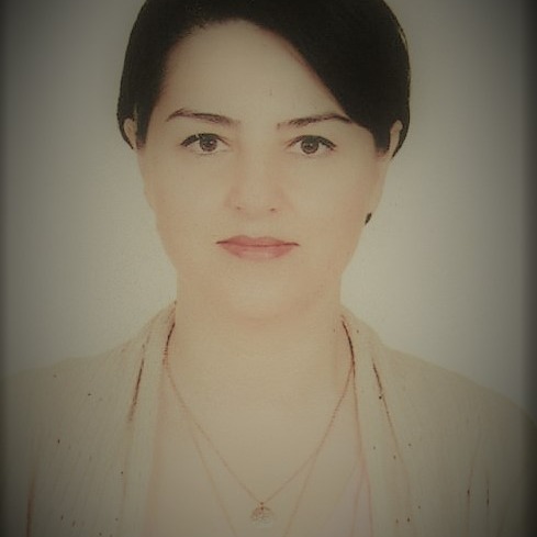 özel ders öğretmeni
