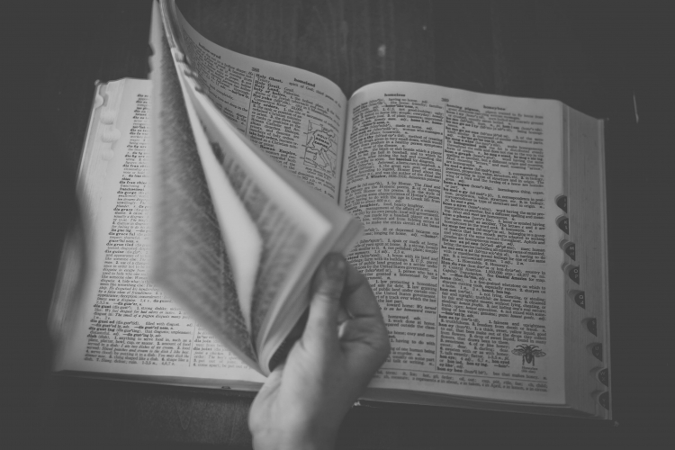 TOEFL Özel Ders